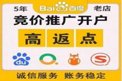 百度竞价推广案例：品牌崛起之路